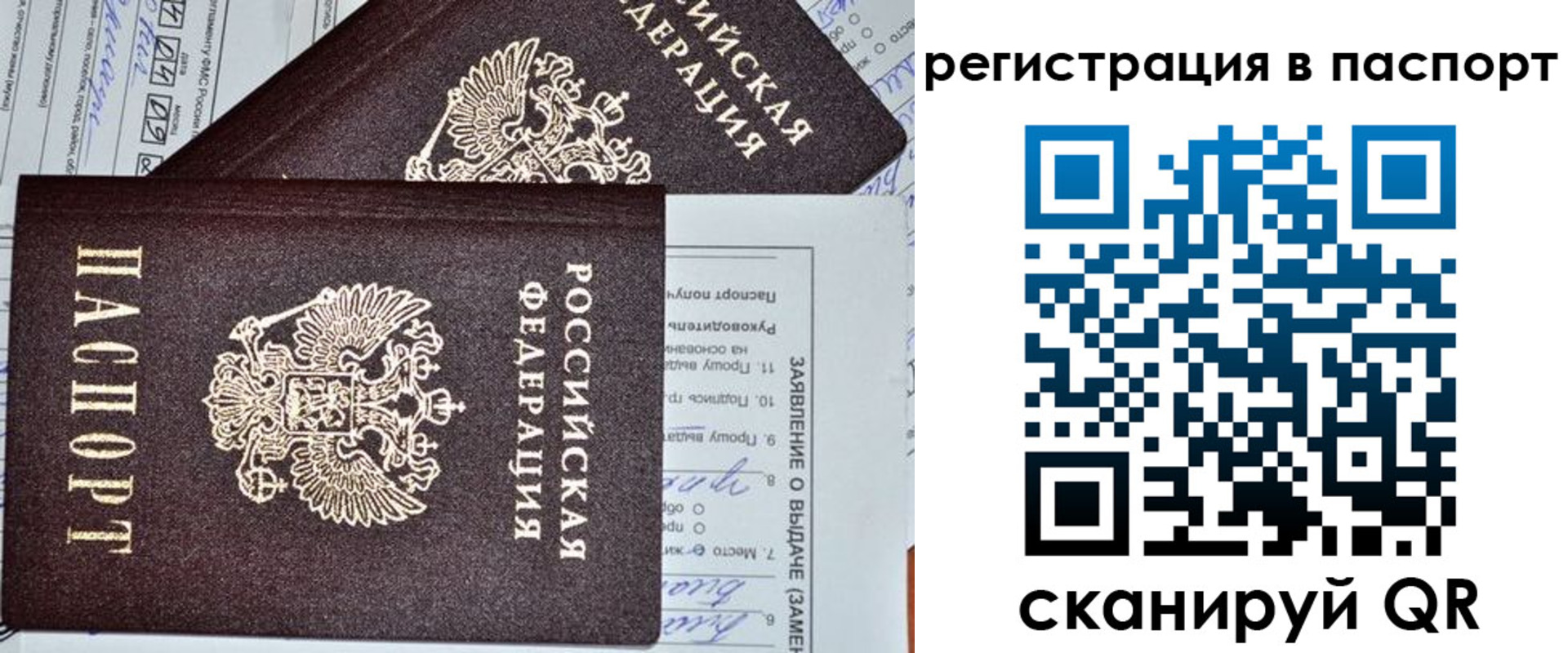 прописка законно в Волгореченске